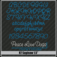 Saginaw 1.5 Rhinestone Font R7