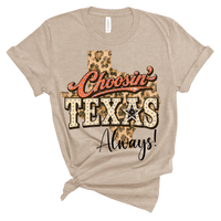 Choosin' Texas RV257