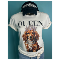 Ruby the Long Haired Chihuahua AV114