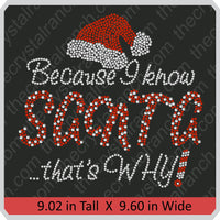 Because I Know Santa Rhinestone Transfer H169