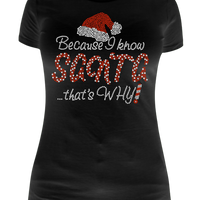 Because I Know Santa Rhinestone Transfer H169