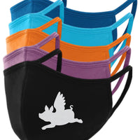 Flying Pig Face Mask