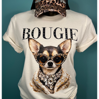 Coco the Chihuahua AV118