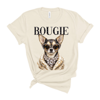 Coco the Chihuahua AV118