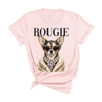 Coco the Chihuahua AV118
