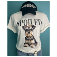 Watson the Schnauzer AV113