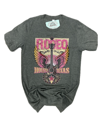 Rodeo Houston Texas RV206
