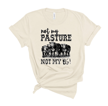 Not my Pasture, Not my BS RV120