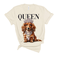 Ruby the Long Haired Chihuahua AV114