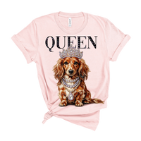 Ruby the Long Haired Chihuahua AV114