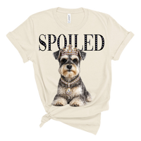 Watson the Schnauzer AV113