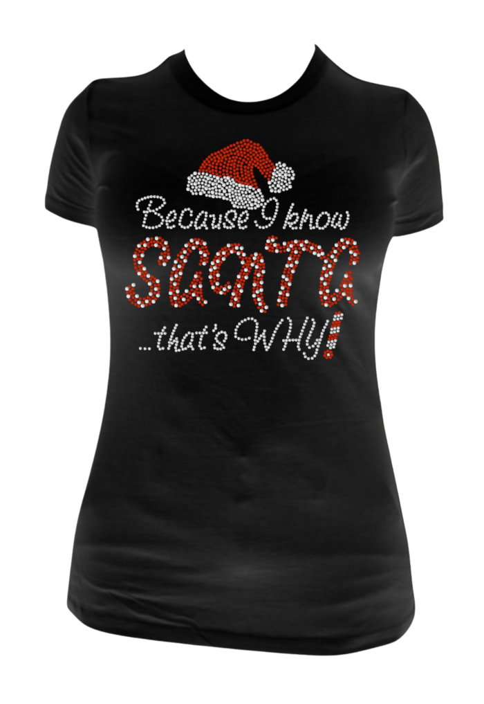 Because I Know Santa Rhinestone Transfer H169