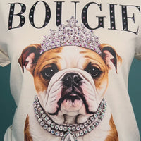 Bruno the Bulldog AV117