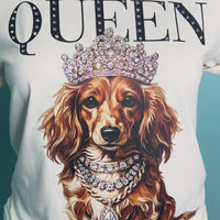 Ruby the Long Haired Chihuahua AV114