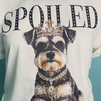 Watson the Schnauzer AV113