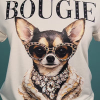 Coco the Chihuahua AV118