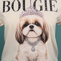 Susie the Shih Tzu AV120