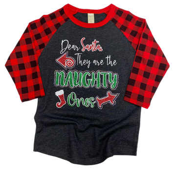Dear Santa, They are the Naughty Ones Youth HV081Y
