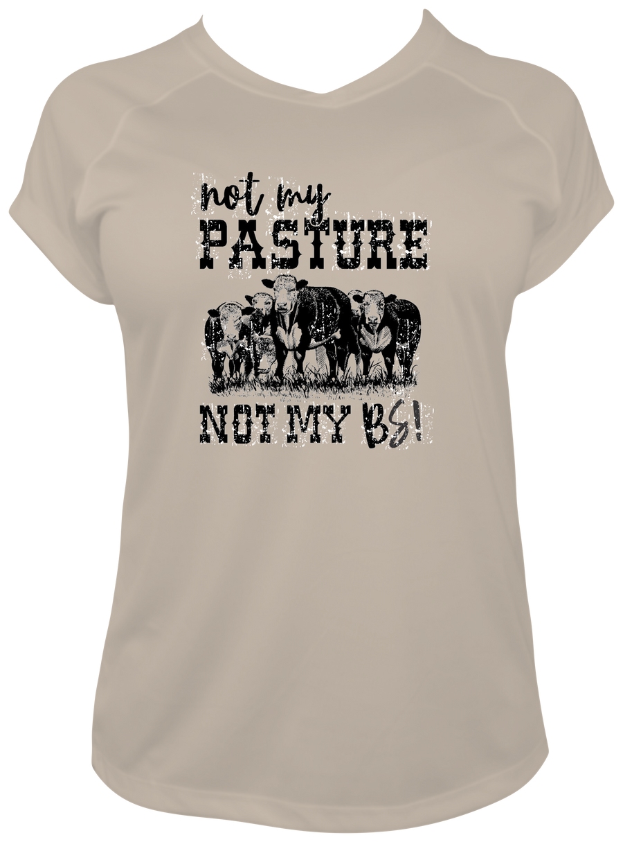 Not my Pasture, Not my BS RV120